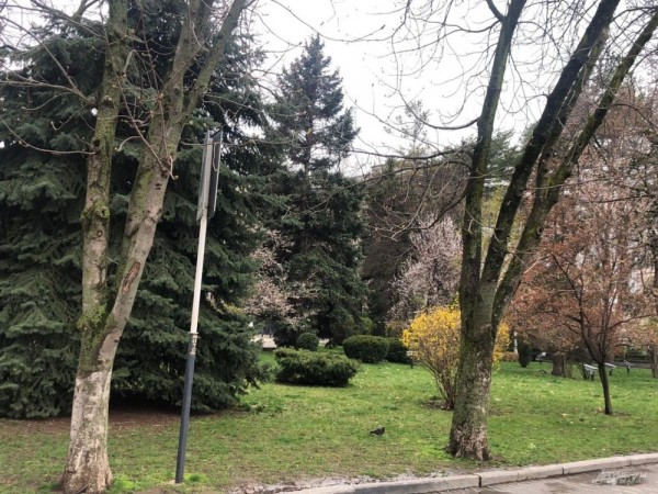 Улицы Краснодара в апреле - 2021