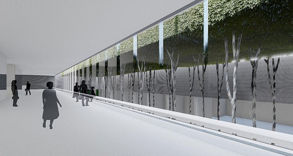 «Деревьев будет много — Сергей Николаевич любит зелень». Как изменится «Аврора» по плану Галицкого?