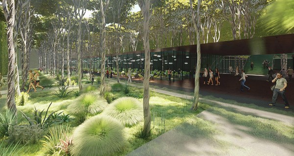 «Деревьев будет много — Сергей Николаевич любит зелень». Как изменится «Аврора» по плану Галицкого?