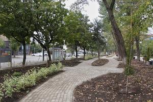 Не выходя из Краснодара: как жить лучше в новых районах Не выходя из Краснодара: как жить лучше в новых районах