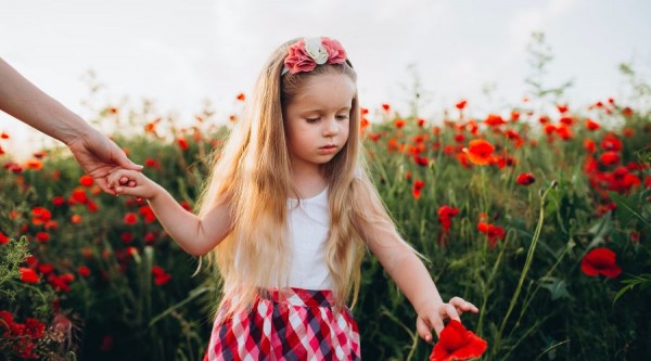 Что цветет на Кубани в мае-июне? Цветочный шазам Краснодарского края, часть вторая Что цветет на Кубани в мае-июне? Цветочный шазам Краснодарского края, часть вторая