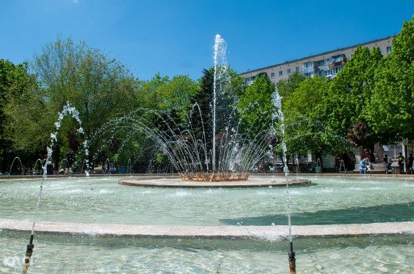 Голосуй лёгкими! Почему каждому жителю Краснодара нужно участвовать в голосовании за зеленые зоны