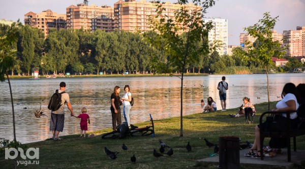 Голосуй лёгкими! Почему каждому жителю Краснодара нужно участвовать в голосовании за зеленые зоны