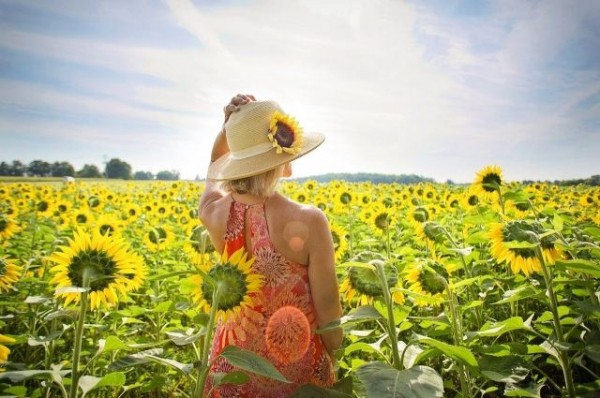 В Краснодарском крае 21 июня ожидается до +36 градусов В Краснодарском крае 21 июня ожидается до +36 градусов