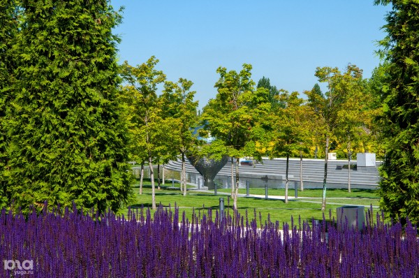 Блеск стали и березы из стереотипов: где в Краснодаре найти современную скульптуру