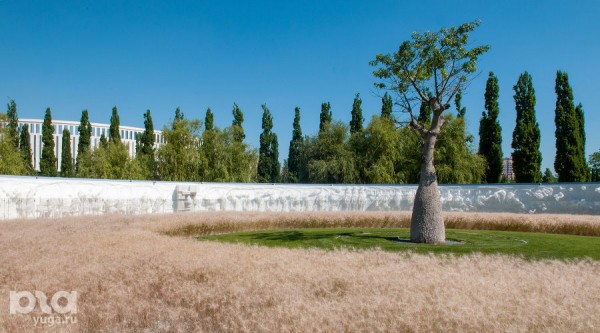 Блеск стали и березы из стереотипов: где в Краснодаре найти современную скульптуру