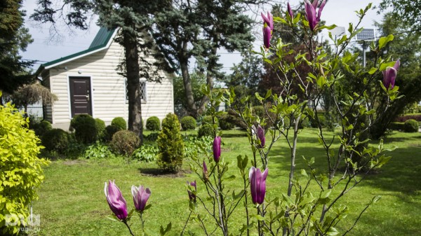 Что в мае цветет на Кубани? Цветочный шазам Краснодарского края Что в мае цветет на Кубани? Цветочный шазам Краснодарского края