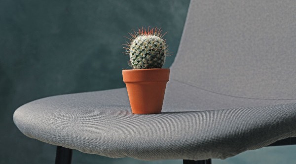 Геморрой, анальный секс, рак прямой кишки. 6 вопросов проктологу, которые вы стеснялись задать