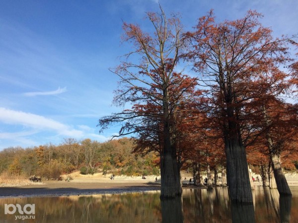 В Анапу &mdash; не только на море. Кипарисы озера Сукко, лестница &laquo;800 ступеней&raquo; и еще 5 лучших мест