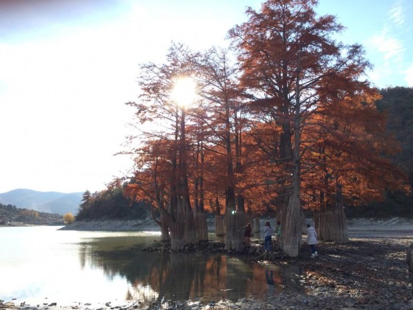 В Анапу &mdash; не только на море. Кипарисы озера Сукко, лестница &laquo;800 ступеней&raquo; и еще 5 лучших мест