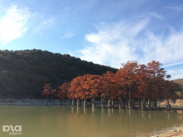 В Анапу &mdash; не только на море. Кипарисы озера Сукко, лестница &laquo;800 ступеней&raquo; и еще 5 лучших мест