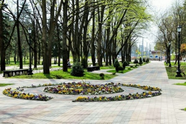 В Краснодарском крае подвели итоги голосования по выбору зеленых зон