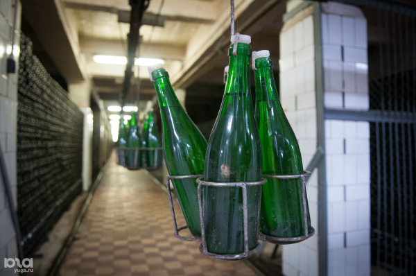 Хамса, вино, пляж, цемент. Чем заняться туристу в Новороссийске Хамса, вино, пляж, цемент. Чем заняться туристу в Новороссийске