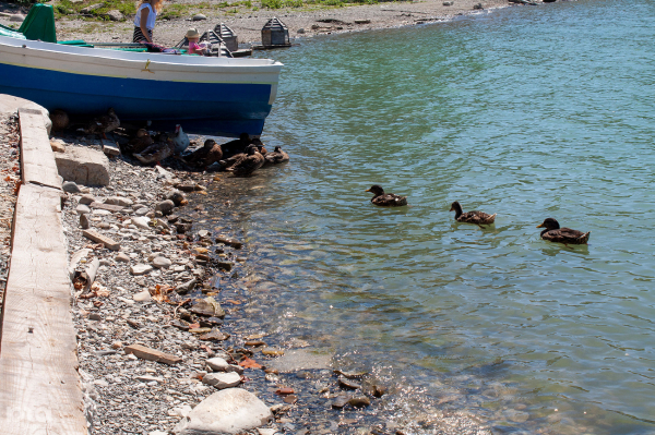 Хамса, вино, пляж, цемент. Чем заняться туристу в Новороссийске Хамса, вино, пляж, цемент. Чем заняться туристу в Новороссийске