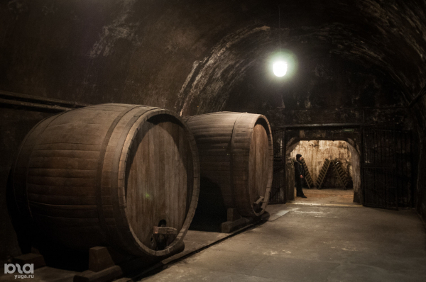 Хамса, вино, пляж, цемент. Чем заняться туристу в Новороссийске Хамса, вино, пляж, цемент. Чем заняться туристу в Новороссийске