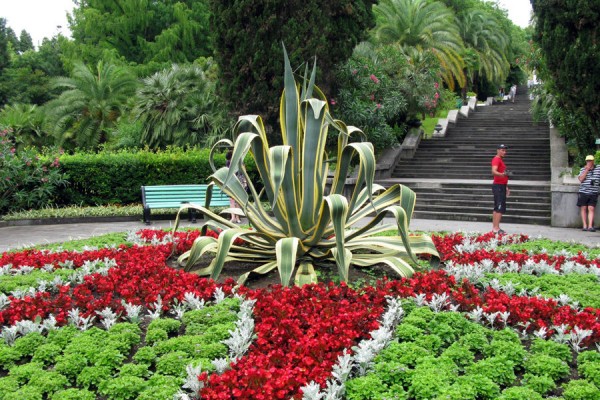 Подняться под облака, нырнуть в прошлое — семь способов небанально отдохнуть в Сочи Подняться под облака, нырнуть в прошлое — семь способов небанально отдохнуть в Сочи