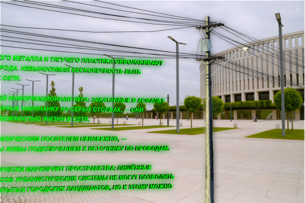 В парке &laquo;Краснодар&raquo; и других местах города появились цифровые арт-объекты. Что это и зачем?