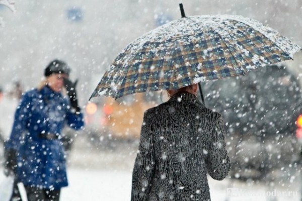 В Краснодаре пойдет снег В Краснодаре пойдет снег