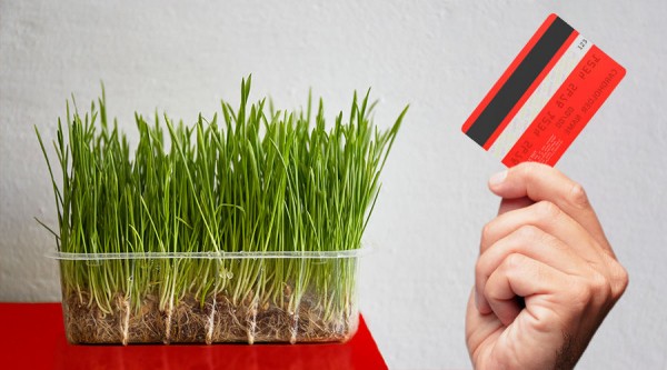 Да кто такой этот ваш Альфа-Счет?! Объясняем в 6 карточках Да кто такой этот ваш Альфа-Счет?! Объясняем в 6 карточках