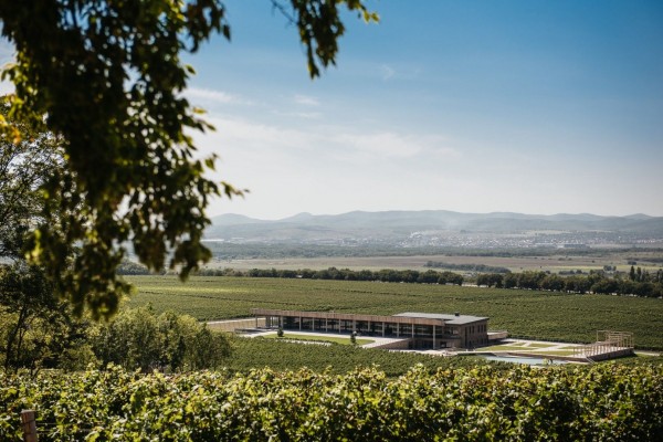 Красно- и белодарский край. Винные маршруты Кубани Красно- и белодарский край. Винные маршруты Кубани