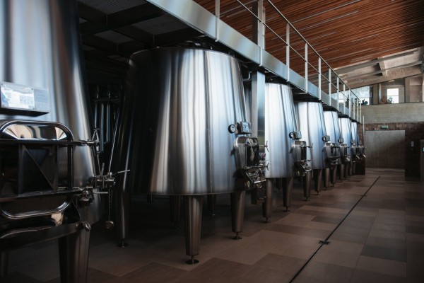 Красно- и белодарский край. Винные маршруты Кубани Красно- и белодарский край. Винные маршруты Кубани