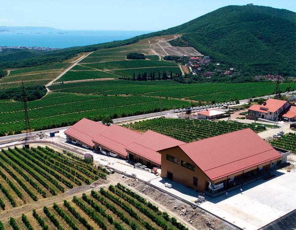 Красно- и белодарский край. Винные маршруты Кубани Красно- и белодарский край. Винные маршруты Кубани