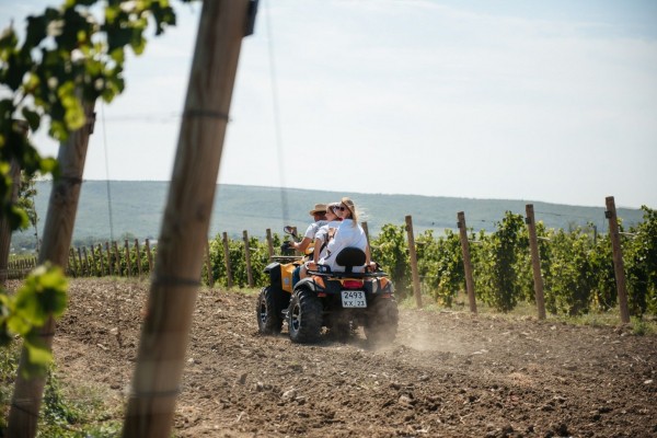 Красно- и белодарский край. Винные маршруты Кубани Красно- и белодарский край. Винные маршруты Кубани