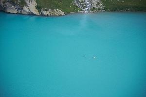 Кубанские дайверы узнали тайну озера Безмолвия и установили мировой рекорд. Вот как это было Кубанские дайверы узнали тайну озера Безмолвия и установили мировой рекорд. Вот как это было