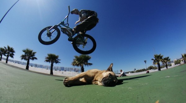 «Скейт — это на всю жизнь». Участники «Урбан-баттла» рассказали, почему катаются даже в -30 °С «Скейт — это на всю жизнь». Участники «Урбан-баттла» рассказали, почему катаются даже в -30 °С