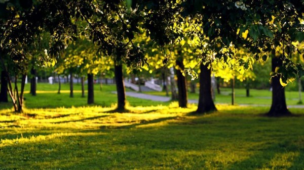 В Краснодаре для благоустройства территорий после сносов привлекут дополнительные источники финансирования