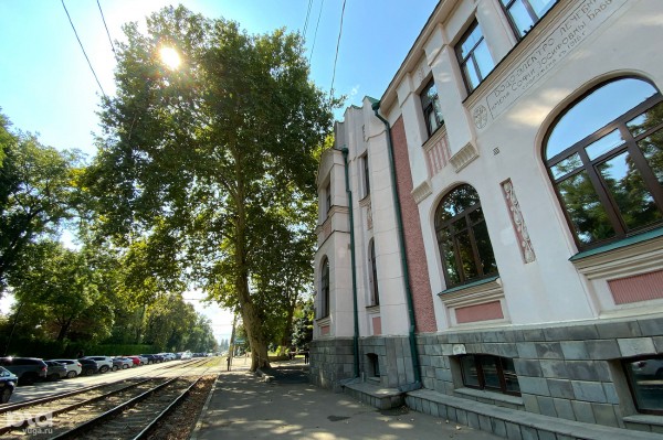 «Голый», «Красавец», «Старик». Как выглядят и где находятся самые старые деревья Краснодара? «Голый», «Красавец», «Старик». Как выглядят и где находятся самые старые деревья Краснодара?