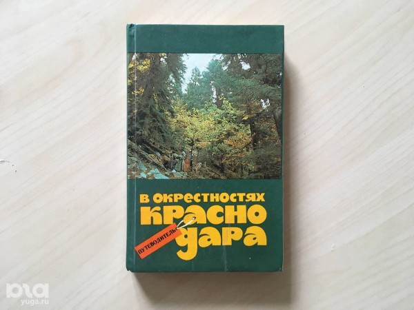 «Голый», «Красавец», «Старик». Как выглядят и где находятся самые старые деревья Краснодара? «Голый», «Красавец», «Старик». Как выглядят и где находятся самые старые деревья Краснодара?