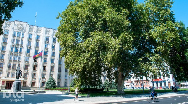 «Голый», «Красавец», «Старик». Как выглядят и где находятся самые старые деревья Краснодара? «Голый», «Красавец», «Старик». Как выглядят и где находятся самые старые деревья Краснодара?