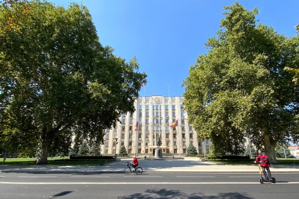 «Голый», «Красавец», «Старик». Как выглядят и где находятся самые старые деревья Краснодара? «Голый», «Красавец», «Старик». Как выглядят и где находятся самые старые деревья Краснодара?