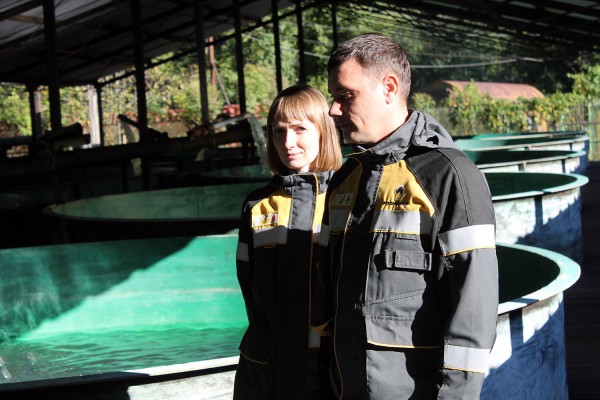 Кто и зачем выращивает краснокнижного черноморского лосося и выпускает его в Мзымту