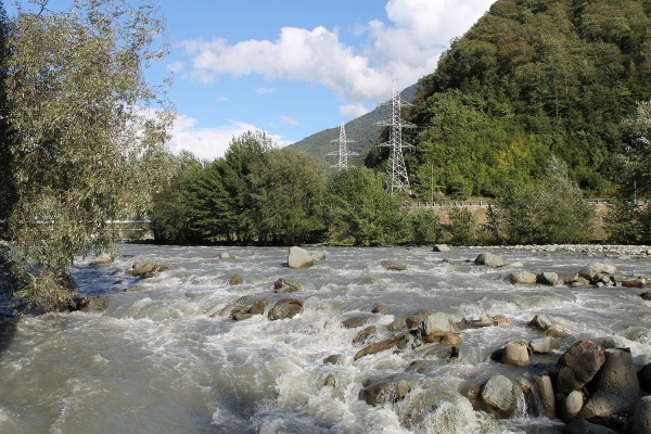 Кто и зачем выращивает краснокнижного черноморского лосося и выпускает его в Мзымту
