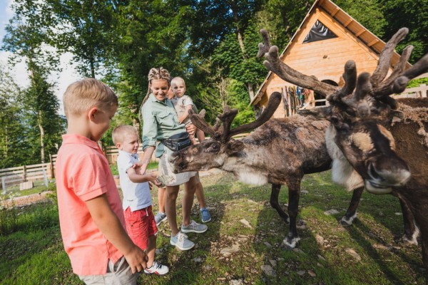 Осенний антистресс на курорте «Роза Хутор». Мы нашли 8 детских развлечений, которые понравятся взрослым