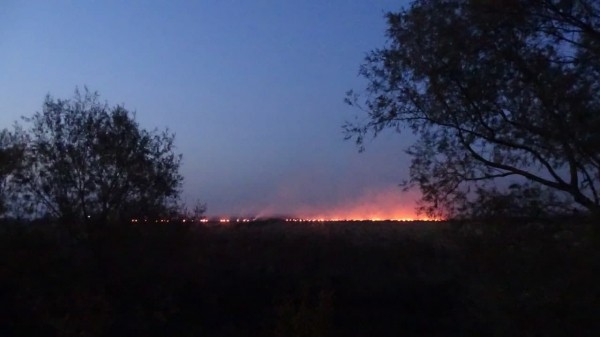 Смог в Краснодаре. Почему миллион тонн кубанского риса пахнут дымом и что с этим делать Смог в Краснодаре. Почему миллион тонн кубанского риса пахнут дымом и что с этим делать