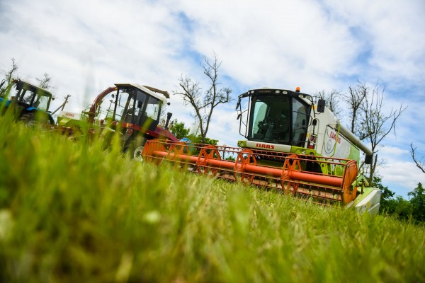 Смог в Краснодаре. Почему миллион тонн кубанского риса пахнут дымом и что с этим делать Смог в Краснодаре. Почему миллион тонн кубанского риса пахнут дымом и что с этим делать