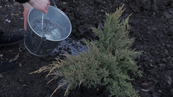 В Краснодаре завершили благоустройство второй очереди Симферопольского бульвара