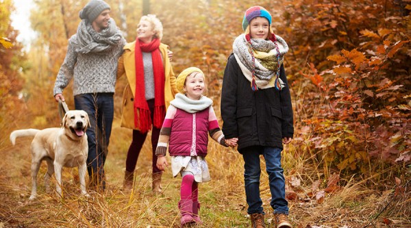 Чем заняться на осенних каникулах с ребенком? Бесконтактные советы жителям Краснодара