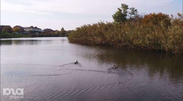 Сколько всего Карасунов в Пашковке? Считаем при помощи аэрофотосъемки Сколько всего Карасунов в Пашковке? Считаем при помощи аэрофотосъемки