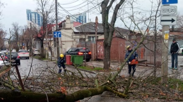 25 аварийных бригад завершают устранение последствий сильного ветра в Краснодаре