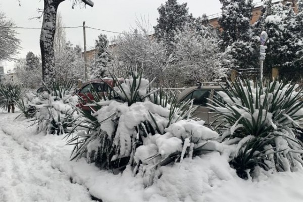 В Краснодаре 20 декабря выпал первый снег