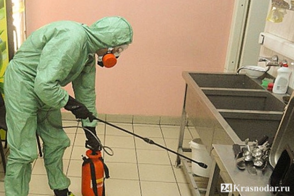 Роспотребнадзор опровергает массовое отравление учеников краснодарской школы