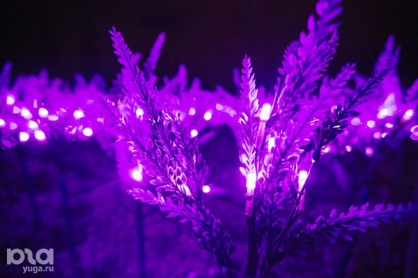 «Эйва» из «Аватара» и золотые дети. Показываем, как украсили парк «Краснодар» к Новому году