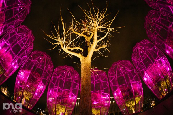 «Эйва» из «Аватара» и золотые дети. Показываем, как украсили парк «Краснодар» к Новому году