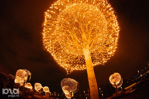 «Эйва» из «Аватара» и золотые дети. Показываем, как украсили парк «Краснодар» к Новому году