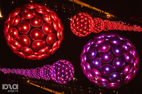 «Эйва» из «Аватара» и золотые дети. Показываем, как украсили парк «Краснодар» к Новому году