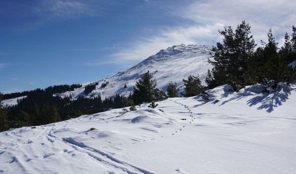 Куда можно улететь из Краснодара и Москвы на новогодние каникулы? 17 стран и правила их посещения Куда можно улететь из Краснодара и Москвы на новогодние каникулы? 17 стран и правила их посещения